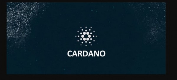 Cardano Whale Addresses Have Accumulated Over 4 Billion ADA in 2022