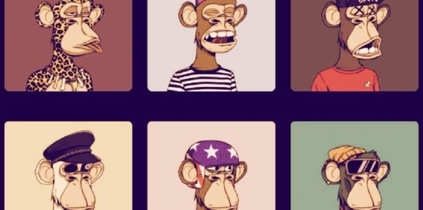 'Bitcoin Centrist' Muneeb Ali: Why NFTs Are Triggering to Normies 'Bitcoin Centrist' Muneeb Ali: Why NFTs Are Triggering to Normies