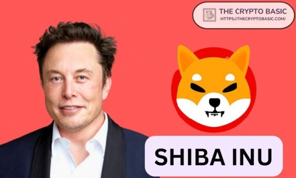 Here’s Price of 1 Shiba Inu if SHIB Matches Elon Musk’s Net Worth Here’s Price of 1 Shiba Inu if SHIB Matches Elon Musk’s Net Worth