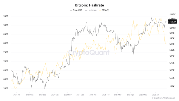 Experts Debate Why Bitcoin Hashrate Plummeted in June