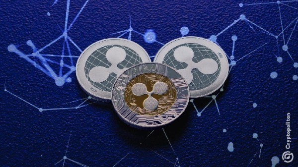 Ripple triggers a surge in XRP Ledger activity with the latest update Ripple triggers a surge in XRP Ledger activity with the latest update