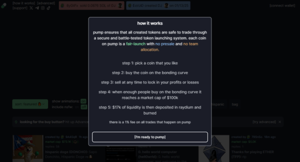 How To Create a Meme Coin on Pump.fun: A Comprehensive Tutorial