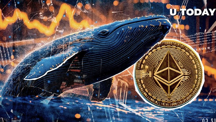 Massive Ethereum ICO Whale Suddenly Made $12 Million ETH Transfer to Top Exchange
