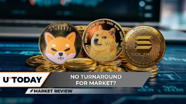 Shiba Inu (SHIB): Another Zero or Full Recovery, Solana (SOL) Golden Cross Comes Back, Dogecoin (DOGE): Crucial Price Moment Shiba Inu (SHIB): Another Zero or Full Recovery, Solana (SOL) Golden Cross Comes Back, Dogecoin (DOGE): Crucial Price Moment