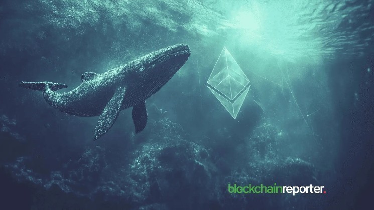 Whale Accumulation Hits Six-Year High as Ethereum Eyes $4K Breakout Whale Accumulation Hits Six-Year High as Ethereum Eyes $4K Breakout