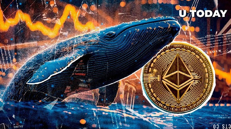 Ethereum Whale Capitulates? $12M ETH Dump Signals Fear