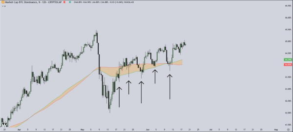 Bitcoin’s Dominance Could Kill Altseason Dreams, Analyst Warns
