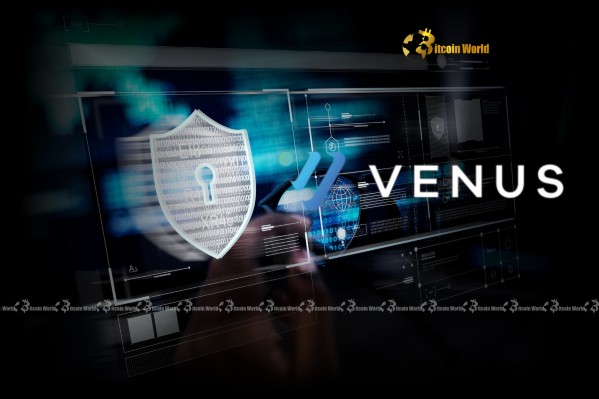 Venus Protocol Suffers Shocking $2M Crypto Attack: Urgent Lessons for DeFi Security