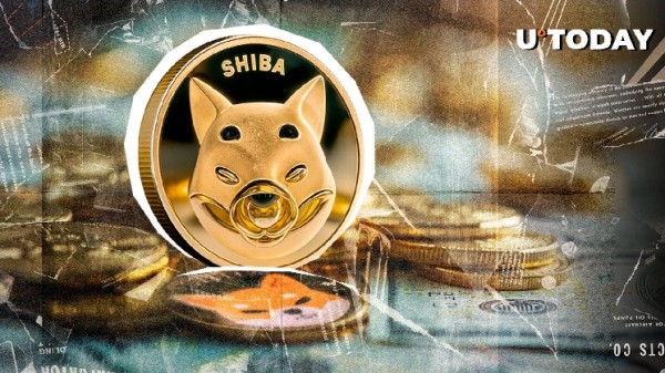 Shiba Inu (SHIB) Large Transaction Volume Down 88%: Details