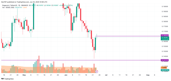 DOGE Price Prediction for June 24