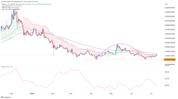 Red alert: The Shiba Inu price rally could be shortlived