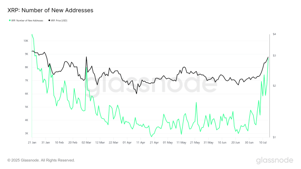 XRP Price Stands 15% From All-Time High – One Cohort Is Driving the Rally