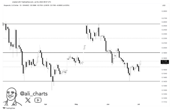 Dogecoin Bounces Back With 8% Gain—Is $0.26 In Sight?
