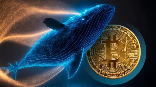 Final Word on the Whale Moving $8 Billion in Bitcoin: Here’s the Possible Reason Behind the Transaction