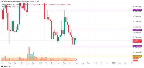 SHIB Price Prediction for July 5