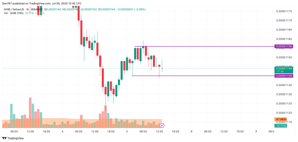SHIB Price Prediction for July 5