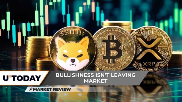 Shiba Inu (SHIB): Fundamental Shift, XRP Sky Is Not Limit Now, Bitcoin (BTC) Price Cools Down