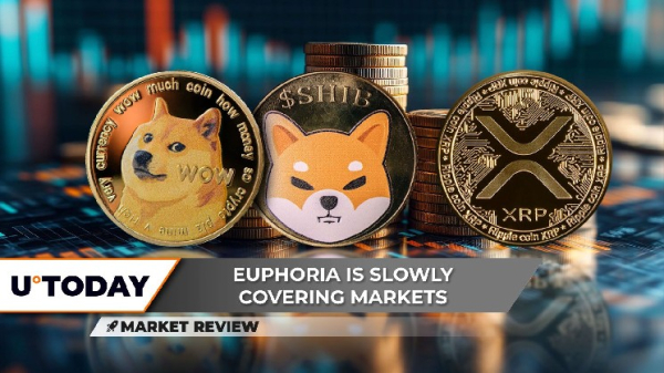 Dogecoin (DOGE): Biggest Breakout in 2025? Shiba Inu (SHIB) Must Break This, XRP Becomes Euphoric