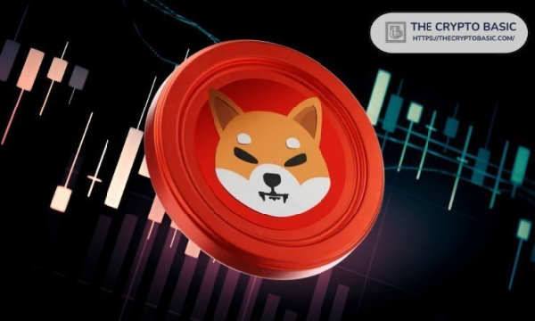 Shiba Inu Price Prediction: RSI Signals Bullish Reversal as SHIB Targets 25% Rally