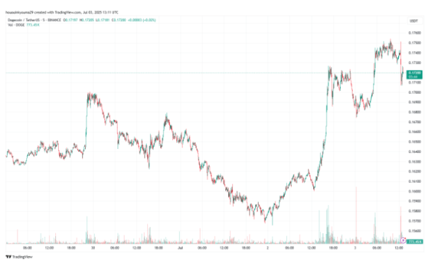Dogecoin Bounces Back With 8% Gain—Is $0.26 In Sight?