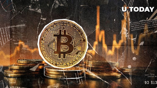 Top Trader: Bitcoin Has Not Bottomed Yet