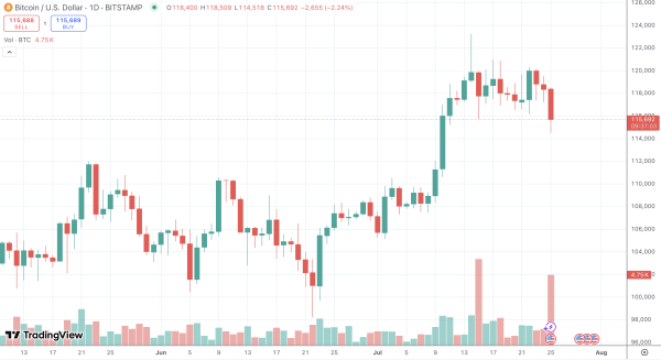 Top Trader: Bitcoin Has Not Bottomed Yet