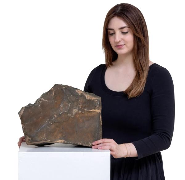 You Can Buy a Martian Meteorite With Bitcoin—If You Have Upwards of $4 Million