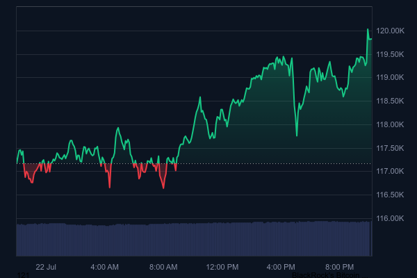 Bitcoin Surges, Reaches Above $120,000 Again – Here Are the Latest Data and What We Know
