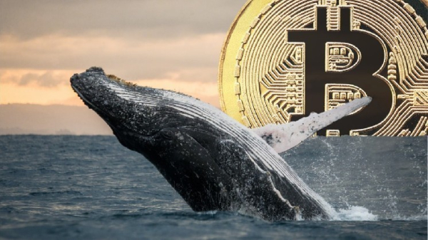 The End of an Era: The Giant Bitcoin Whale that’s been in the Spotlight for Weeks Suddenly Disappeared – Here are the Theories