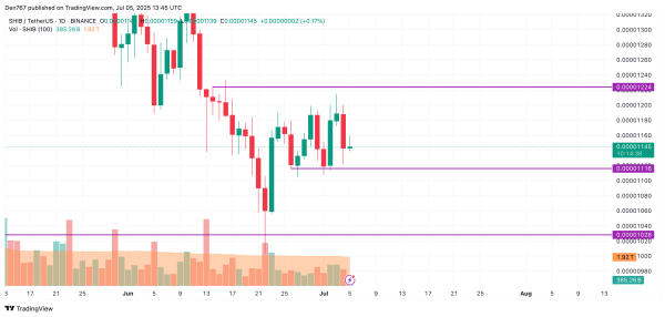 SHIB Price Prediction for July 5