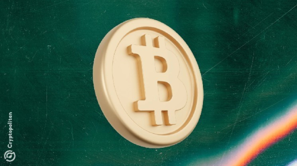 BTC liveliness in 2025 shows a trend of accumulation BTC liveliness in 2025 shows a trend of accumulation