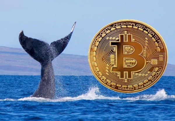 A Serious Theory Has Emerged About the Identity and Motive Behind the Huge Early Bitcoin Whale That Moved 80,000 BTC Yesterday