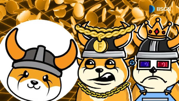 What are Floki’s Flokitars?