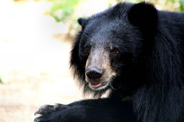 Crypto Markets Today: Bitcoin Price Remains Under Pressure