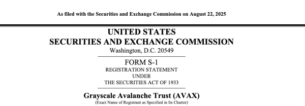 Avalanche leads blockchain transaction growth amid US gov’t implementation
