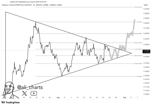 MAGACOIN FINANCE Shows in Whale Wallets Next to AVAX, DOGE, and LINK