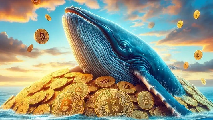 The "Diamond-Handed" Giant Whale Unwounds His 7-Year Bitcoin Stash! He Sold BTC and Opened a Long Position in This Altcoin!