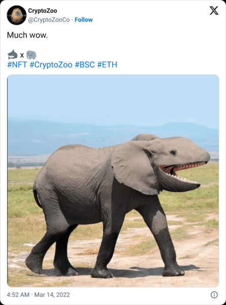 Texas judge backs Logan Paul’s bid to escape CryptoZoo lawsuit Texas judge backs Logan Paul’s bid to escape CryptoZoo lawsuit