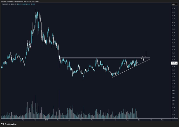 Avalanche vs Solana — Which Layer-1 Altcoin Holds the Edge in Ecosystem Growth This Year? Avalanche vs Solana — Which Layer-1 Altcoin Holds the Edge in Ecosystem Growth This Year?