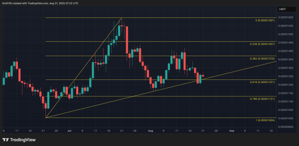 Shiba Inu Bulls Defend Dual Support With 1T Volume. What Next?