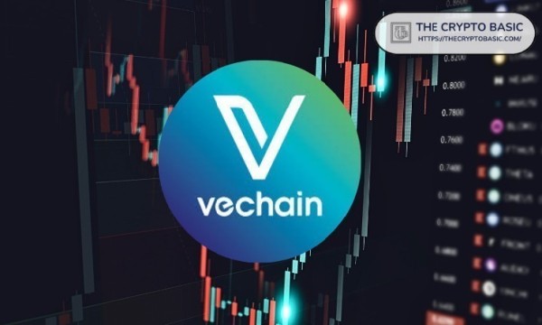 Van de Poppe on VeChain: ‘A Big Breakout Is Looming, Accumulating Here Is Definitely on My Radar’