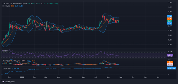XRP Rich List Update Reveals Shockingly Low Entry for Top 10 Percent