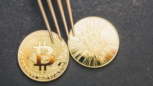 What is a Fork in Crypto?