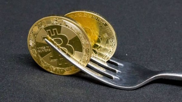 What is a Fork in Crypto?
