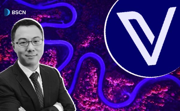 How Has VeChain Progressed with Its Renaissance Roadmap? How Has VeChain Progressed with Its Renaissance Roadmap?