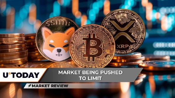 Shiba Inu (SHIB) Bears Destroyed, Bitcoin (BTC) Price Squeeze Next, This Is XRP's Chance Shiba Inu (SHIB) Bears Destroyed, Bitcoin (BTC) Price Squeeze Next, This Is XRP's Chance