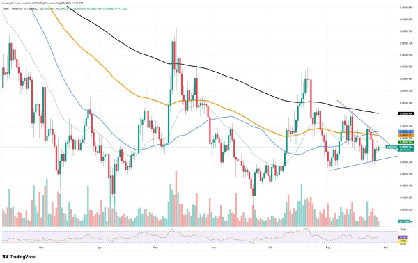 Shiba Inu (SHIB): Only Chance to Decide, XRP Fakeout or Rocket Higher? Dogecoin (DOGE): Last Resistance Left? Shiba Inu (SHIB): Only Chance to Decide, XRP Fakeout or Rocket Higher? Dogecoin (DOGE): Last Resistance Left?