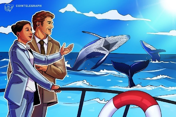 Crypto whales buy $456M Ether in 'natural rotation' from Bitcoin