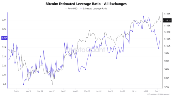 Bitcoin Holds Near $119,000 As Lower Leverage Reduces Correction Risk