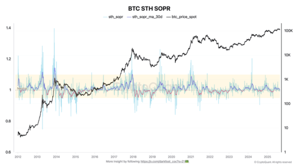 Bitcoin on Edge: Whale Moves and Short-Term Losses Signal Potential Shake-Up